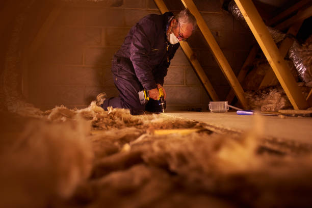 Best Professional Insulation Contractor  in Shiremanstown, PA